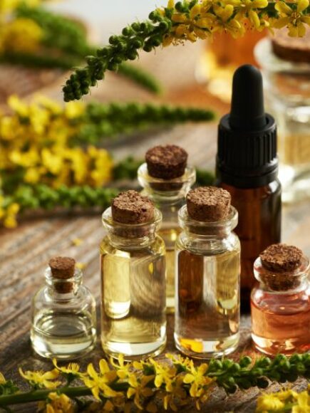 Curs în Naturopatie – Diplomă Certificată de către un Notar European –